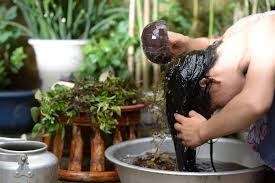 DẦU GỘI ĐẦU THẢO DƯỢC