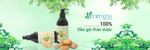 DẦU GỘI ĐẦU THẢO DƯỢC